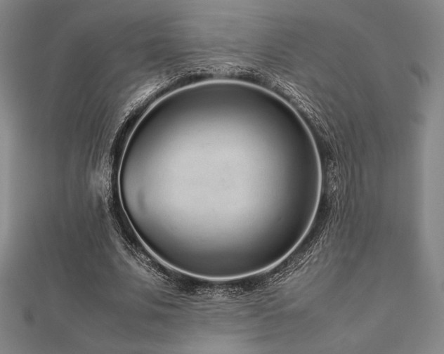 X0000112510679200908171334