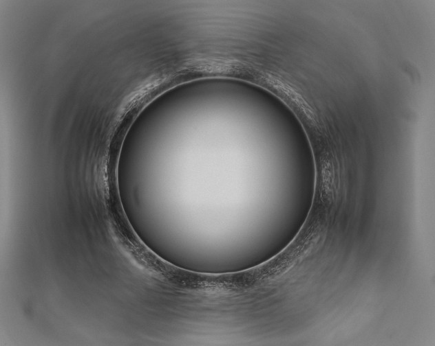 X0000112510682200908171334