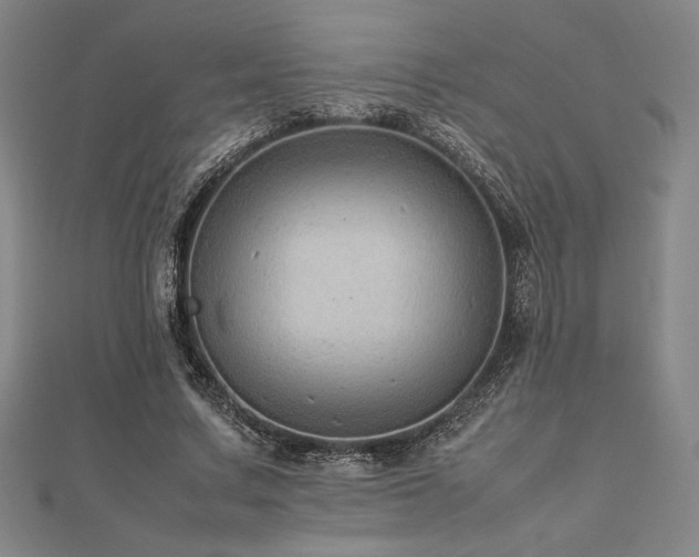 X0000112510683200908171334