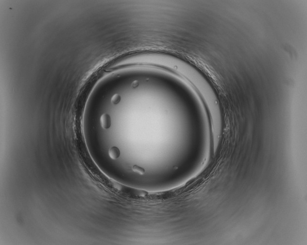 X0000112510684200908171334