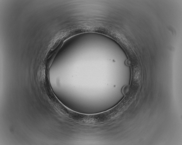 X0000112510685200908171334