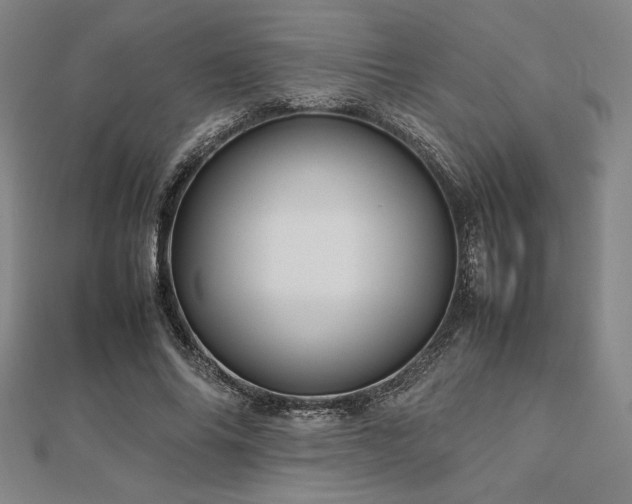 X0000112510686200908171334