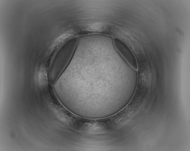 X0000112510688200908171334