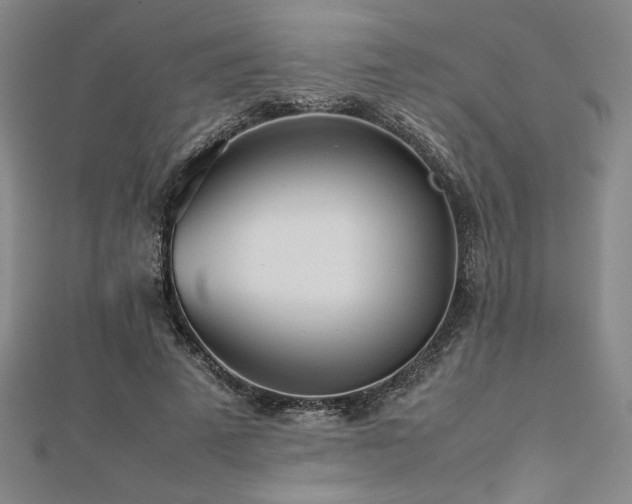 X0000112510689200908171334