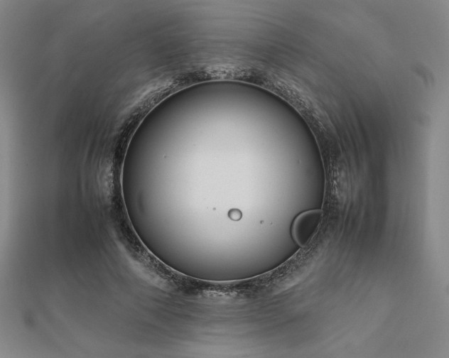 X0000112510690200908171334