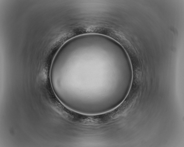 X0000112510691200908171334