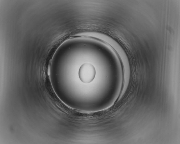 X0000112510692200908171334