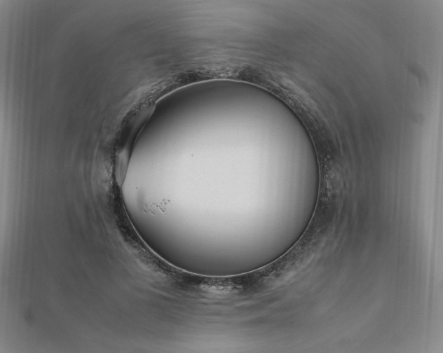 X0000112510693200908171334