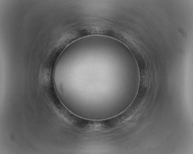 X0000112510695200908171334