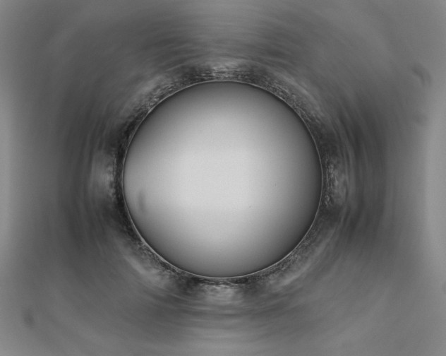 X0000112510698200908171334