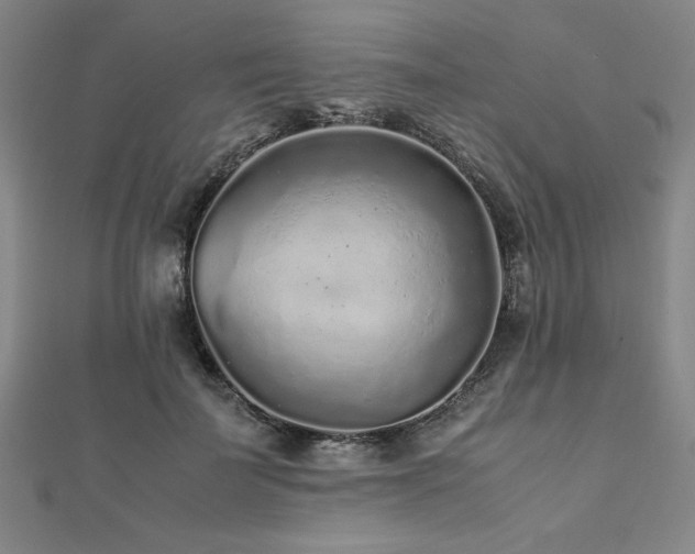 X0000112510699200908171334