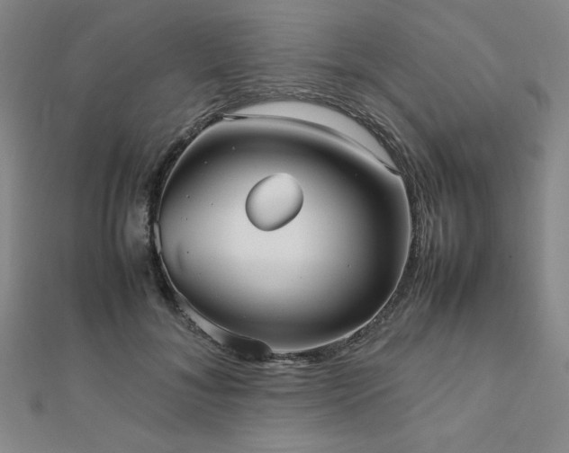 X0000112510700200908171334