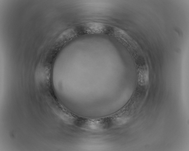 X0000112510701200908171334