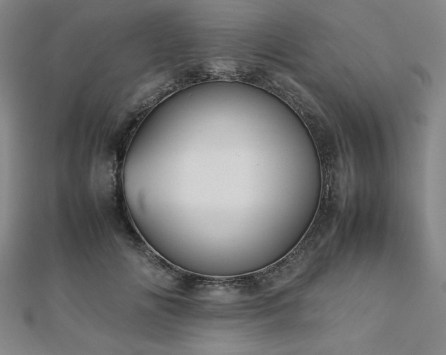 X0000112510702200908171334