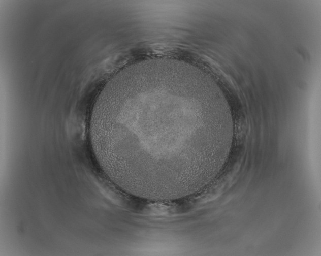 X0000112510703200908171334