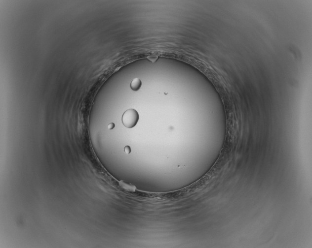 X0000112510704200908171334