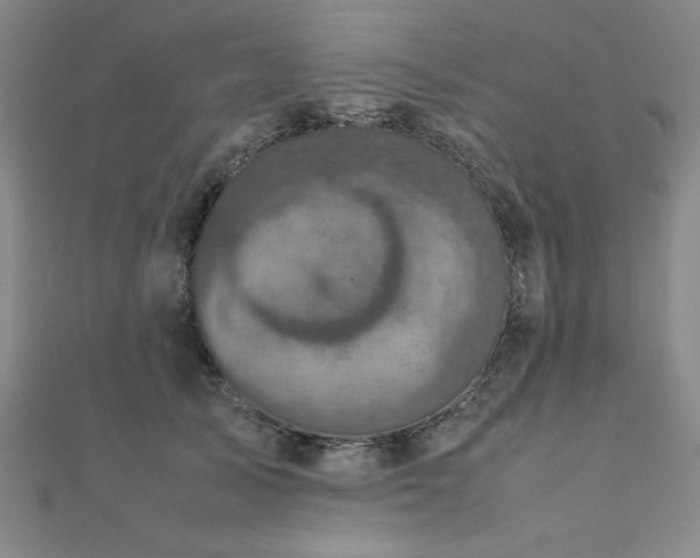 X0000112510705200908171334