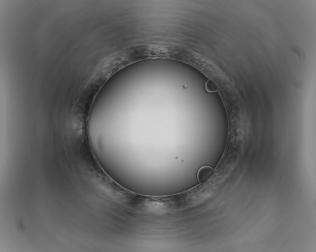 X0000112510706200908171334