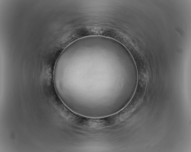 X0000112510707200908171334