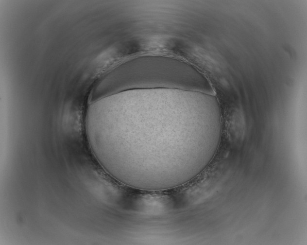 X0000112510708200908171334