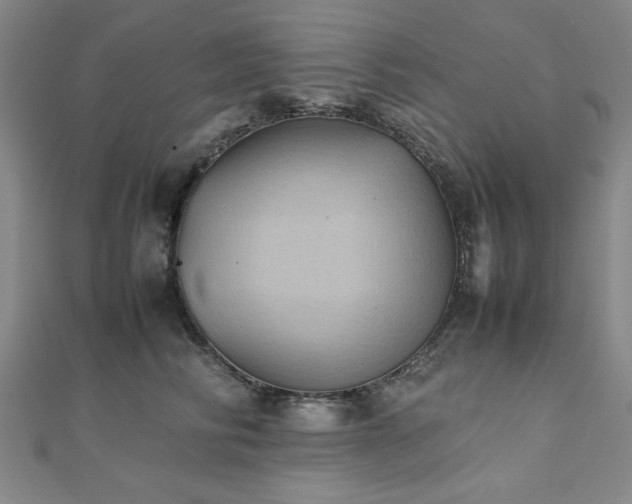 X0000112510710200908171333