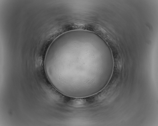 X0000112510711200908171333