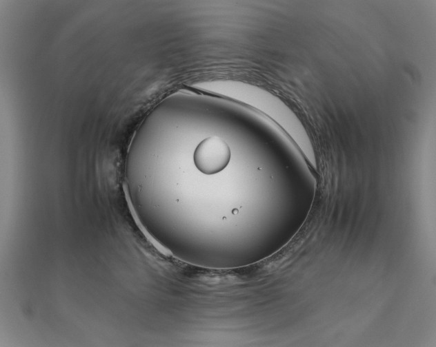 X0000112510712200908171333