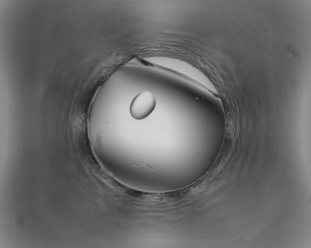 X0000112510713200908171333