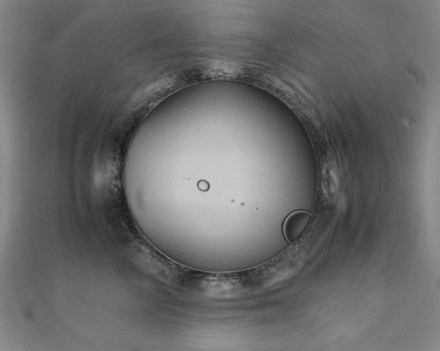 X0000112510714200908171333