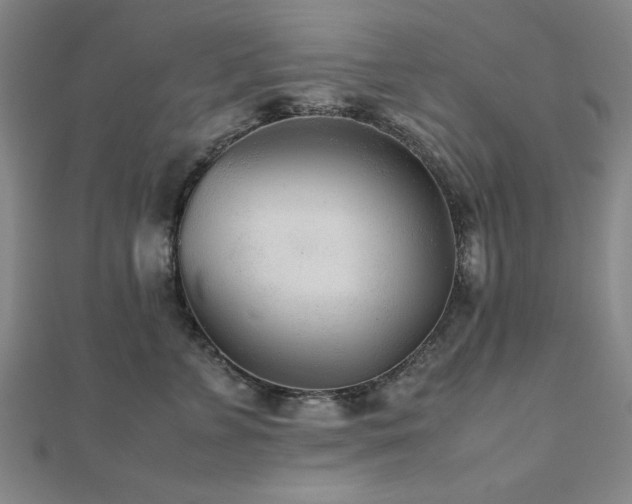 X0000112510715200908171333