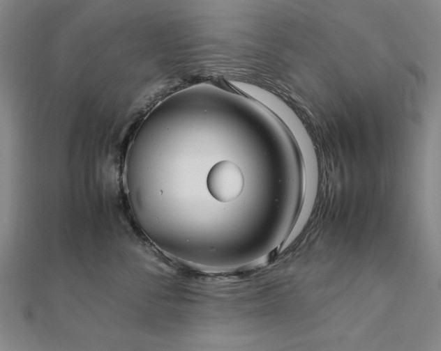 X0000112510716200908171333