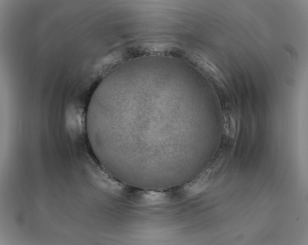 X0000112510718200908171333