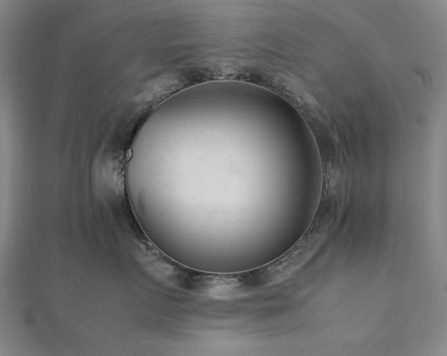 X0000112510719200908171333