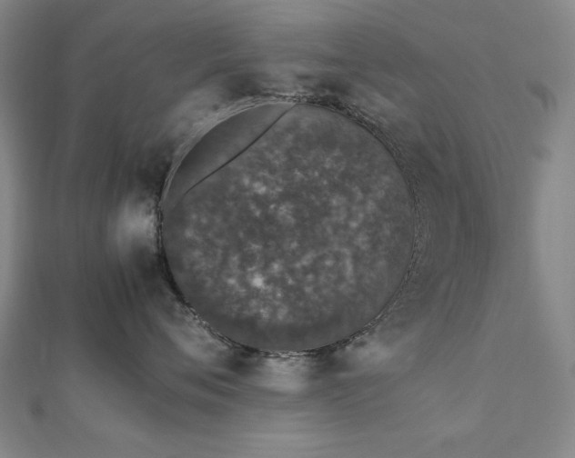 X0000112510720200908171333