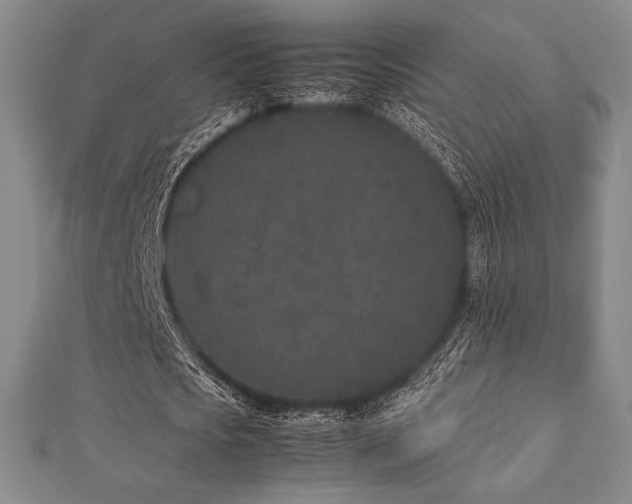 X0000112510721200908171333