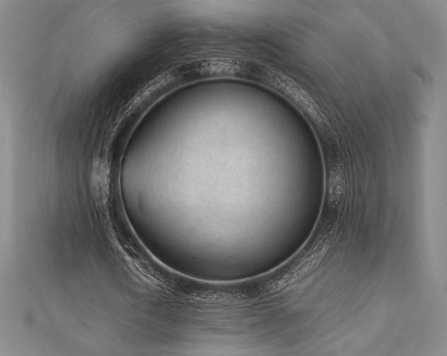 X0000112510722200908171333