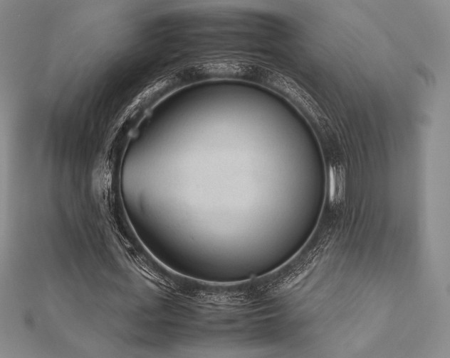 X0000112510723200908171333