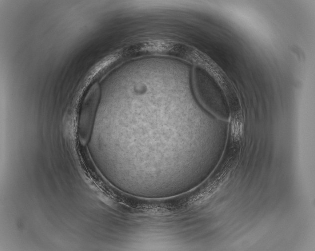 X0000112510724200908171333