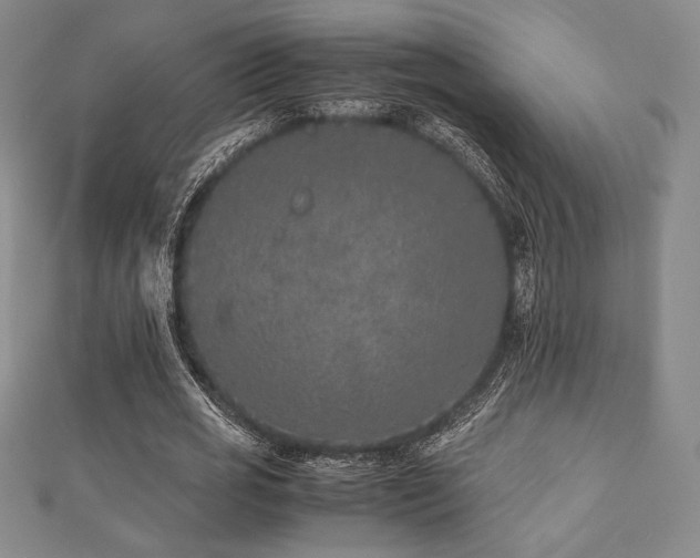 X0000112510725200908171333