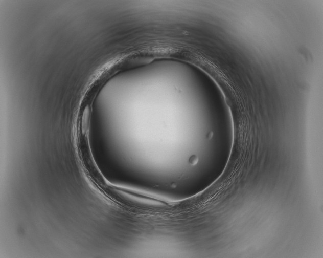 X0000112510726200908171333