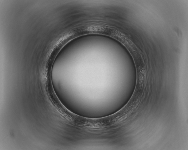 X0000112510727200908171333