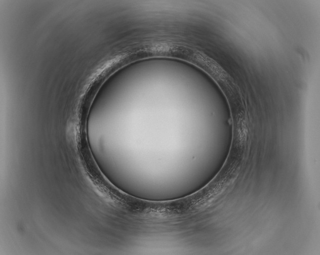 X0000112510728200908171333