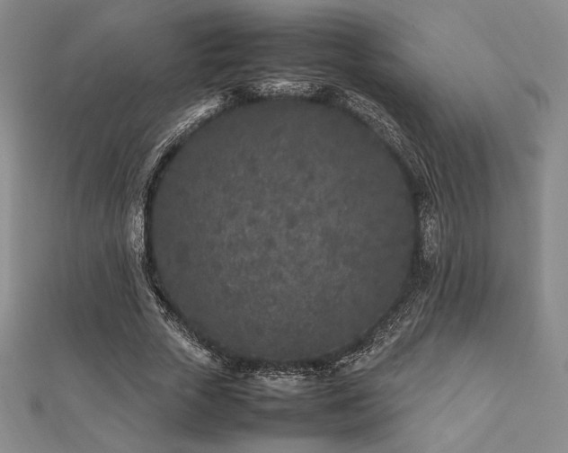 X0000112510729200908171333