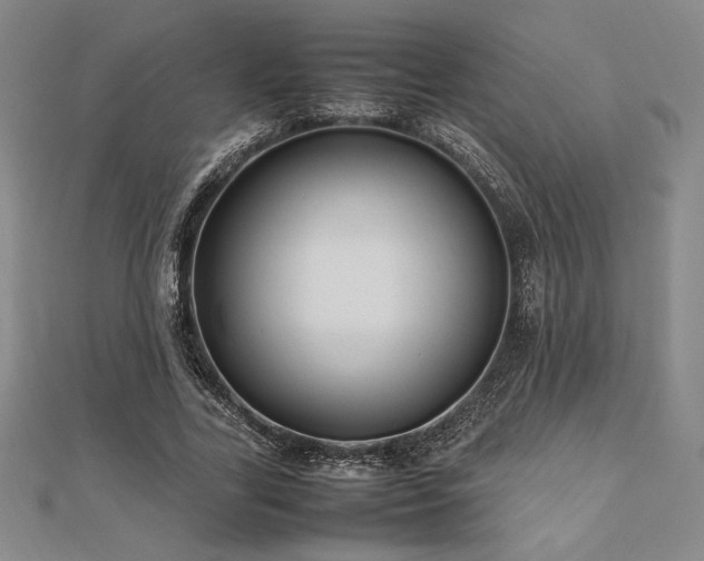 X0000112510731200908171333