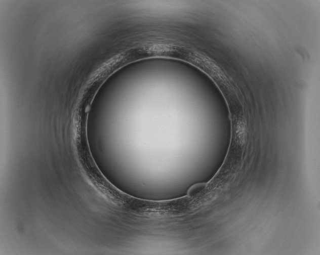 X0000112510732200908171333