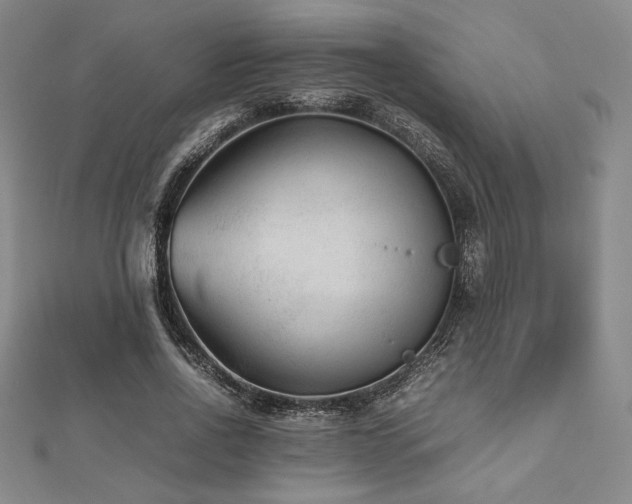 X0000112510734200908171333