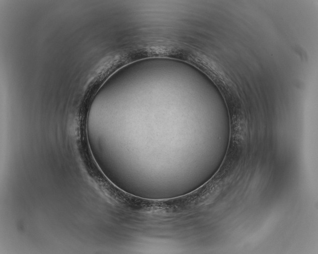 X0000112510738200908171333