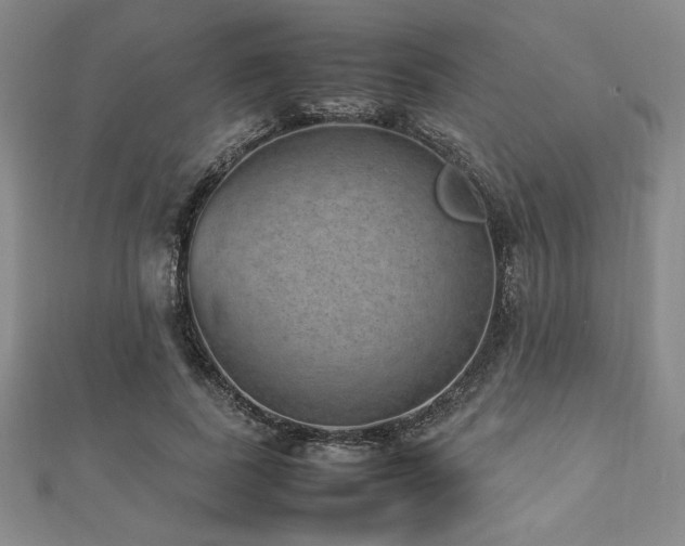 X0000112510739200908171333