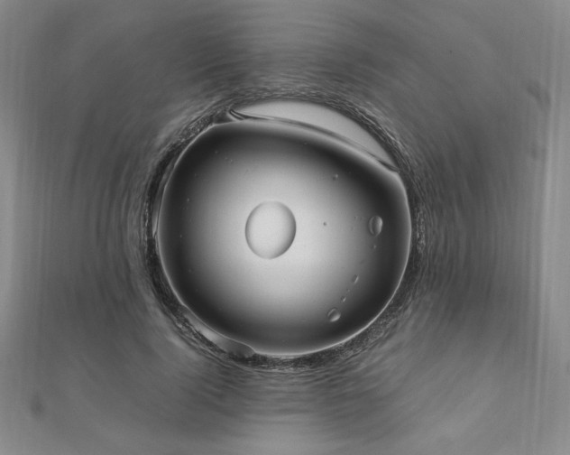 X0000112510740200908171333