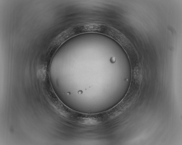 X0000112510741200908171333